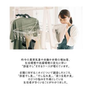 LION トップ クリアリキッド 300g ギ...の詳細画像1
