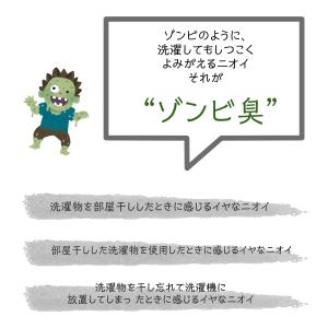 LION トップ クリアリキッド 300g ギ...の詳細画像2