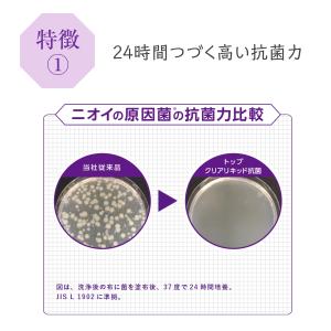 LION トップ クリアリキッド 300g ギ...の詳細画像4