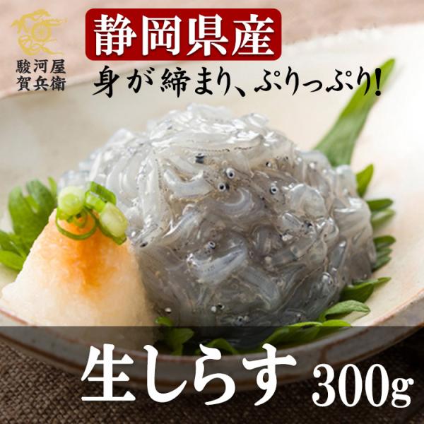 静岡県産《生しらす 300g》〈100g×3パック〉シラス 送料無料 刺身用 生食用 ご当地グルメ ...