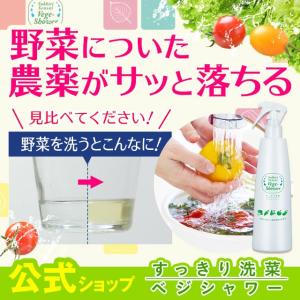 キッチン周りのウィルス除菌にも すっきり洗菜ベジシャワー 2本セット 野菜 洗浄 料理前の新習慣