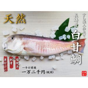 白甘鯛の商品一覧 通販 Yahoo ショッピング