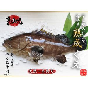 【熟成】長崎県産天然クエ　5kg前後　送料無料