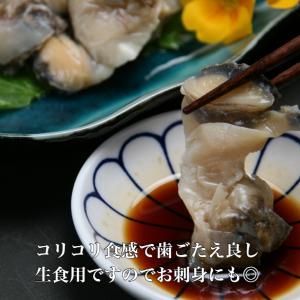 寿司ネタ用 アカニシ貝スライス20枚 希少な通...の詳細画像1
