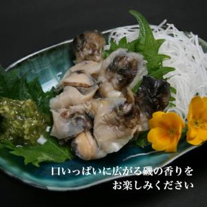 寿司ネタ用 アカニシ貝スライス20枚 希少な通...の詳細画像2