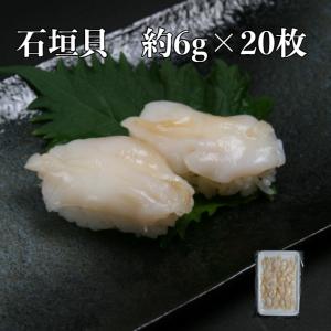 寿司 寿司ネタ 石垣貝 約6ｇ×20枚 業務用 生食用 いしがきかい のせるだけ 刺身用 31/40 いしがき貝 海鮮丼 手巻き寿司｜sushics