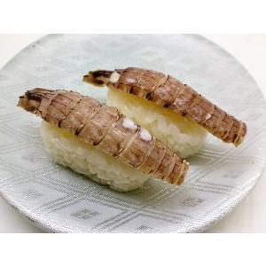 生食用 寿司ネタ ボイルシャコ 16尾 約8ｇ 蝦蛄 すしねた