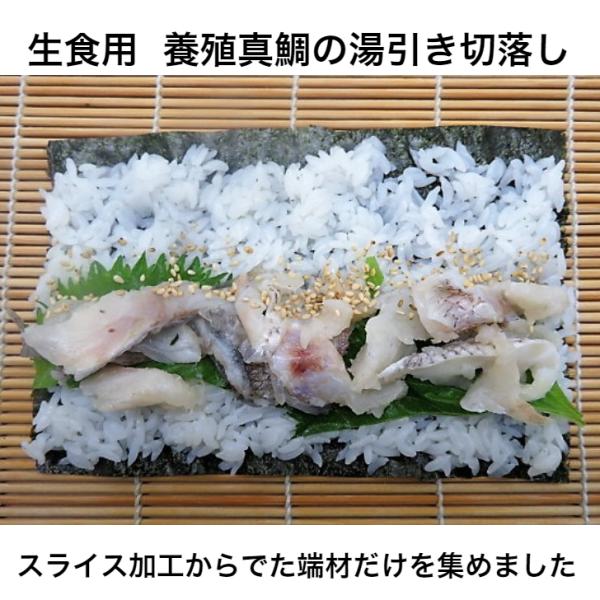 寿司 いろんな用途で使用 寿司ネタ 真鯛湯引き切り落とし 250g 業務用　生食用 まだい 養殖 刺...