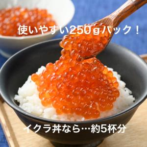 寿司 いくら 醤油漬け 250g サーモン ト...の詳細画像3