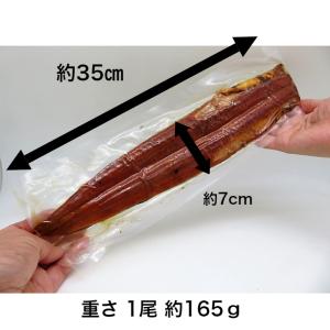 【特大 焼き穴子蒲焼 1尾真空】 焼穴子 焼ア...の詳細画像1