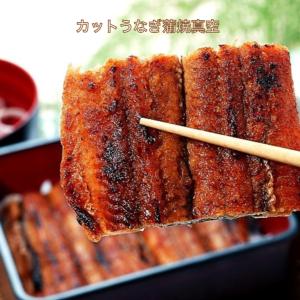 送料無料！ まとめ買い 冷凍 うなぎ 蒲焼 100gカット 10パックセット