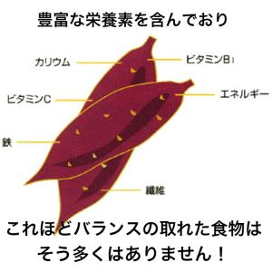 【送料無料】紅はるか 芋棒 2kg(1kg×2...の詳細画像2