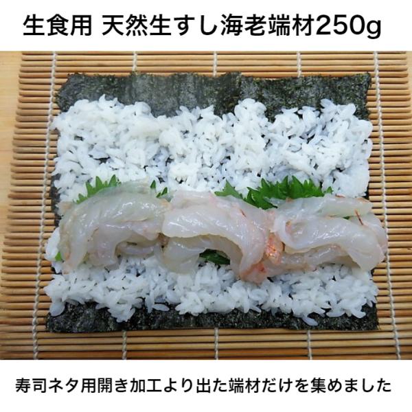 寿司 いろんな用途で使用 寿司ネタ 天然生海老端材 250g 業務用　生食用 すしねた えび 天然 ...