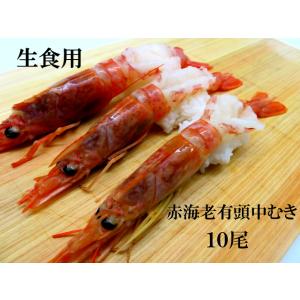 寿司 寿司ネタ 有頭赤海老中むき (約１8ｃｍ) 10尾 のせるだけ 生食用 あかえび アカエビ 刺身用 海鮮丼 大ネタ マリネ カルパッチョ