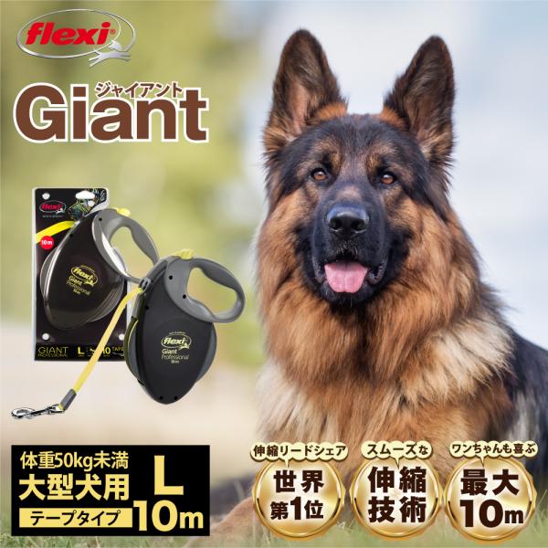 フレキシリード 伸縮リード 大型犬 ジャイアント  L（体重50kg未満 ）10m テープ ドイツ製...