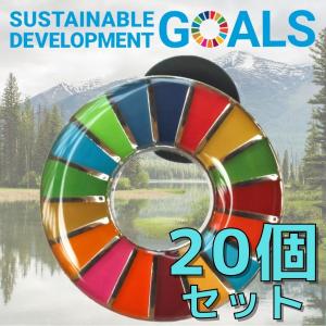 SDGs バッジ 本物 ピンバッジ 正規品 国連本部限定 丸みのあるタイプ 3