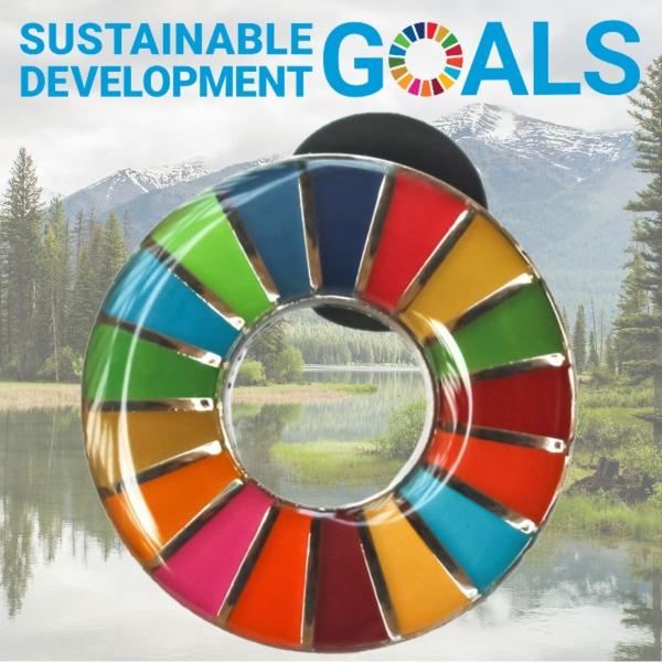 SDGs バッジ 本物 17の目標 ピンバッジ 正規品 国連本部限定 丸みのあるタイプ 予備の留め具...