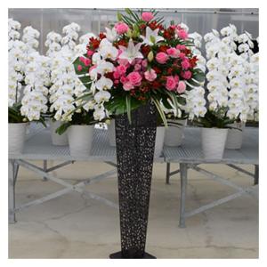 胡蝶蘭付きスタンド花(アイアン) 花色選べる5色 20000円(税別) 180cm位 設置＆回収無料...