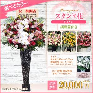 胡蝶蘭付きスタンド花(アイアン) 花色選べる5...の詳細画像1