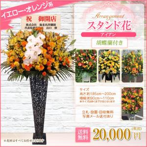 胡蝶蘭付きスタンド花(アイアン) 花色選べる5...の詳細画像2