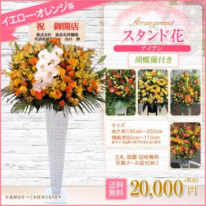 胡蝶蘭付きスタンド花(アイアン) 花色選べる5...の詳細画像3