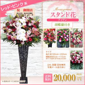 胡蝶蘭付きスタンド花(アイアン) 花色選べる5...の詳細画像4