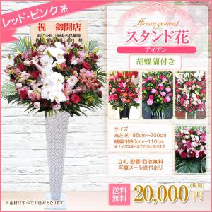 胡蝶蘭付きスタンド花(アイアン) 花色選べる5...の詳細画像5