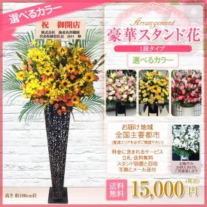 180cm位 スタンド花 花色選べる5色 神奈川県 大阪府 開店祝い 開店 花 スタンド花 アイアン 円 税別 180cm位 お祝い フラスタ Stde 東京都 名古屋市 開院 ライブ ギフト