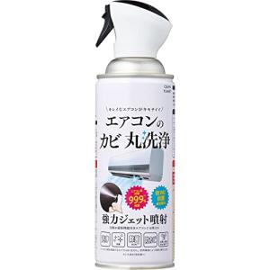 クリーンプラネット エアコンのカビ丸洗浄 1回分(420ml)