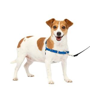 PetSafe イージーウォークハーネス 犬 ハーネス 小型犬 引っ張り防止 調整簡単 抜けない 耐久性が高い 中型犬（S ロイヤルブルー＆ネイ