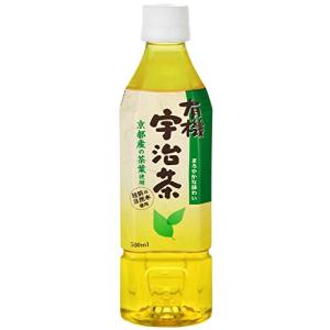 ハイピース 有機宇治茶 500ml×24本