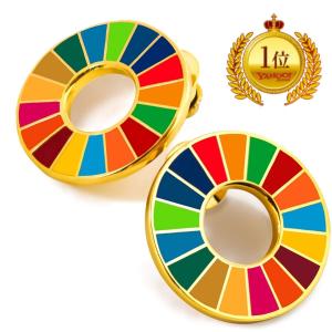 SDGs バッジ 2個セット ピンバッチ バッヂ 高級 琺琅彩