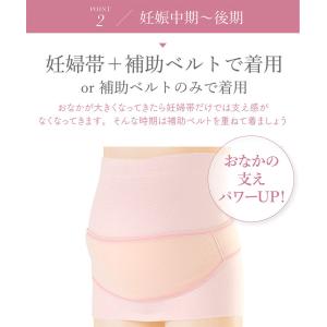 犬印 妊婦帯 腰痛予防 妊婦用 マタニティベル...の詳細画像5