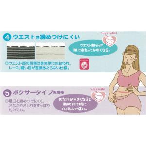 犬印 マタニティ 妊婦帯 腰痛予防 妊婦用 パ...の詳細画像3