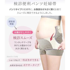 犬印 妊婦帯 マタニティ 妊婦用 検診便利 パ...の詳細画像3