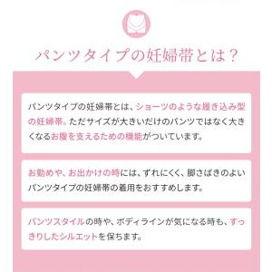 犬印 妊婦帯 マタニティ 妊婦用 検診便利 パ...の詳細画像4