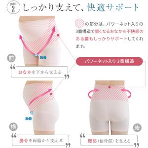 犬印 妊婦帯 マタニティ パンツ 腹帯 マタニ...の詳細画像3