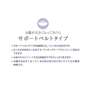 犬印 マタニティ 妊婦帯 マタニティベルト 腰...の詳細画像2