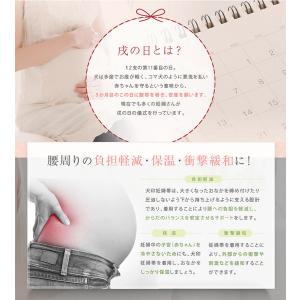 犬印 マタニティ 妊婦帯 いわた さらし フリ...の詳細画像2