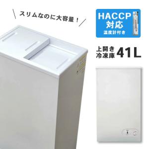 【HACCP対応小型冷凍庫】フォーティーワン BD-41 小型 冷凍庫 ストッカー【冷凍庫 フリーザー 冷凍食品 作り置き おかず 静音 スリム 大容量 】