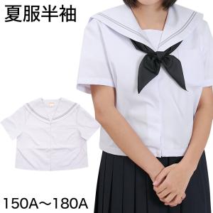 セーラー服 半袖 夏用 女子 制服 白 グレー2本ライン 150cmA〜180cmA (夏服 学生服 中学校 中学生 Tiara) (送料無料) (取寄せ)｜suteteko