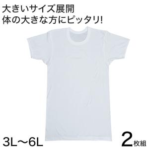 メンズ 半袖 tシャツ 大きいサイズ 綿100% クルーネック 2枚組 3L〜6L (下着 シャツ 男性 丸首 白 無地 肌着 インナー インナーウェア 3l 4l 5l 6l)