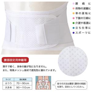 男女兼用 腰の保護ベルト 腰部固定用伸縮帯 楽...の詳細画像2