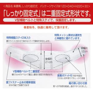男女兼用 腰の保護ベルト 腰部固定用伸縮帯 楽...の詳細画像3