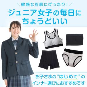 ジュニア ショーツ 綿 中学生 女の子 パンツ...の詳細画像3