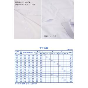 2枚セット スクールシャツ 半袖 男子 形態安...の詳細画像4