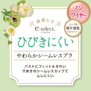 ノンワイヤー ブラジャー シームレス ひびきに...の詳細画像1