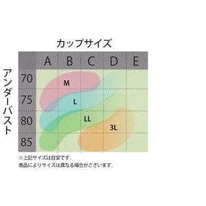 スポーツブラ アツギ 揺れない 大きいサイズ ...の詳細画像5
