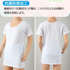 グンゼ 子供 肌着 女の子 綿100% 半袖 ...の詳細画像2