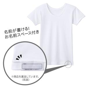 グンゼ 子供 肌着 女の子 綿100% 半袖 ...の詳細画像4